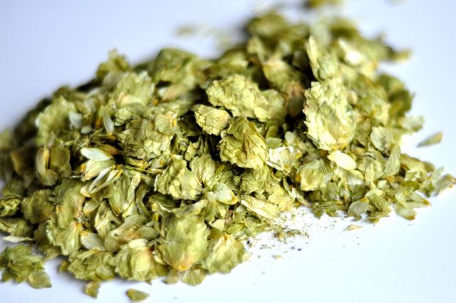 Hersbrucker, German, Whole Leaf